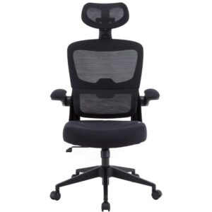 Silla gaming woxter ergo/ negro